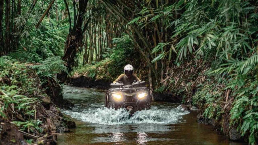 ubud atv 250 cc