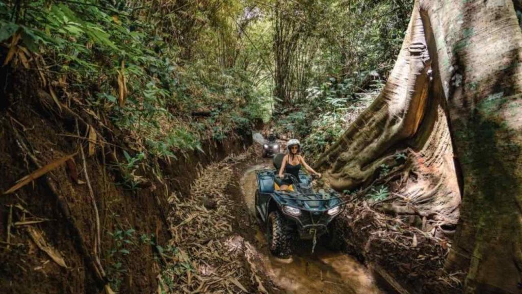 ubud atv 450 cc