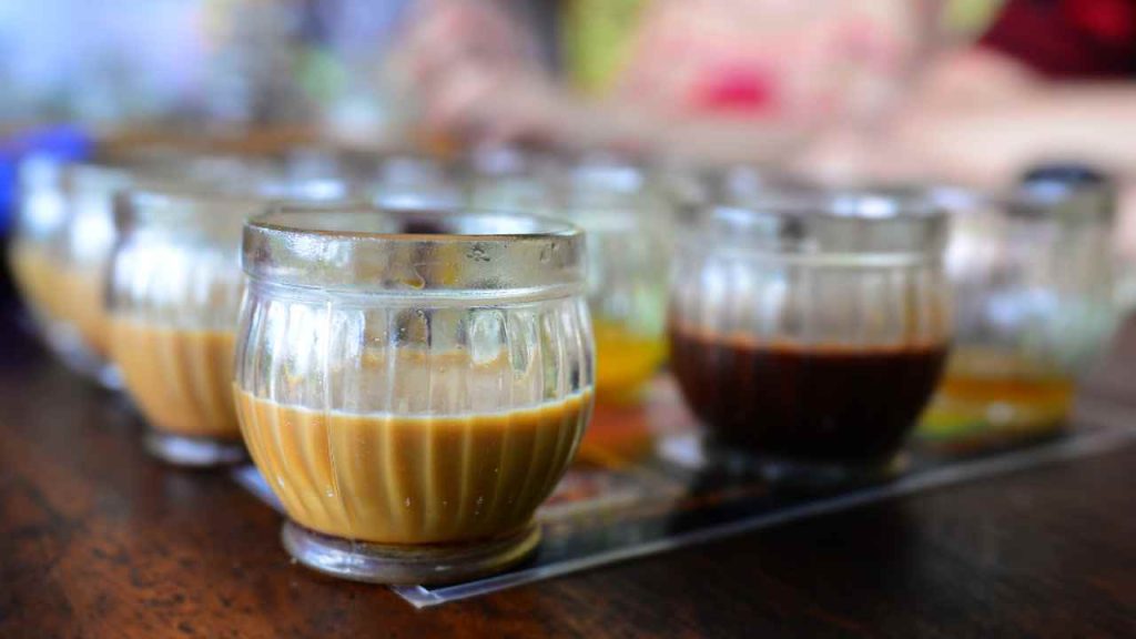 Coffee Plantation