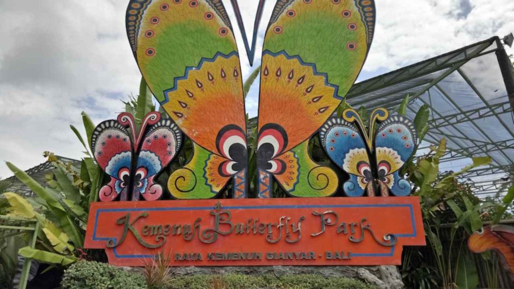 butterfly park north bali tour