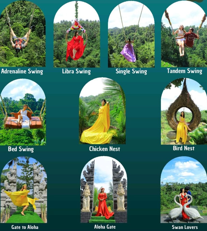 Swing Bali Premium Package